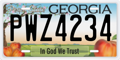 GA license plate PWZ4234