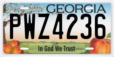 GA license plate PWZ4236