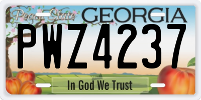 GA license plate PWZ4237