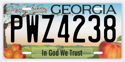 GA license plate PWZ4238
