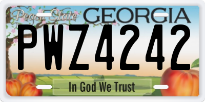GA license plate PWZ4242