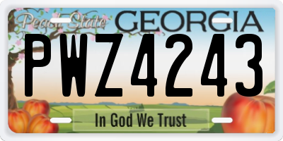 GA license plate PWZ4243