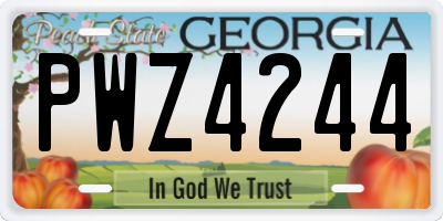 GA license plate PWZ4244