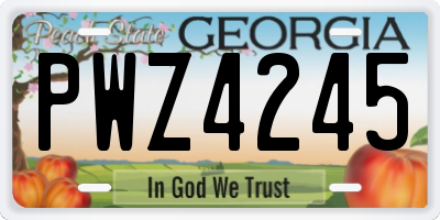 GA license plate PWZ4245