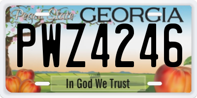 GA license plate PWZ4246