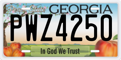 GA license plate PWZ4250