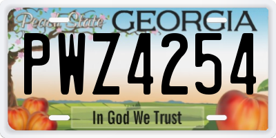 GA license plate PWZ4254