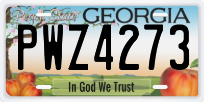 GA license plate PWZ4273