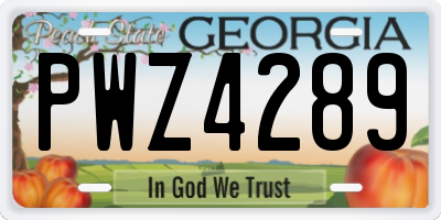 GA license plate PWZ4289