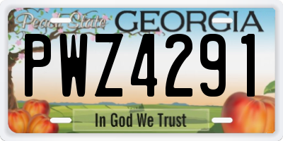 GA license plate PWZ4291