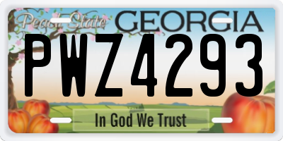 GA license plate PWZ4293