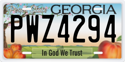 GA license plate PWZ4294