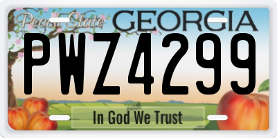 GA license plate PWZ4299