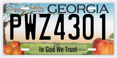 GA license plate PWZ4301