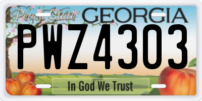 GA license plate PWZ4303