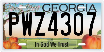 GA license plate PWZ4307