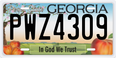 GA license plate PWZ4309