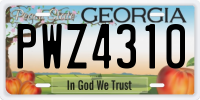 GA license plate PWZ4310