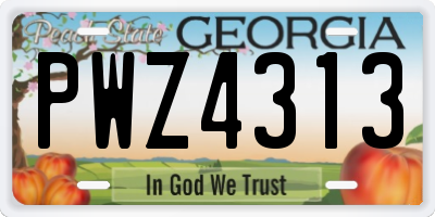GA license plate PWZ4313