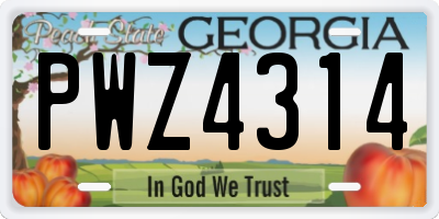 GA license plate PWZ4314