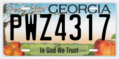 GA license plate PWZ4317