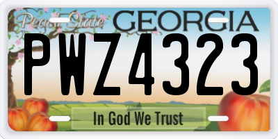 GA license plate PWZ4323