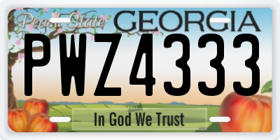 GA license plate PWZ4333