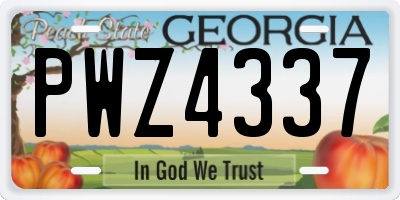 GA license plate PWZ4337