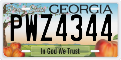 GA license plate PWZ4344