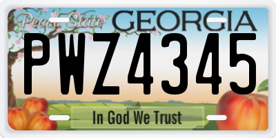 GA license plate PWZ4345