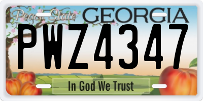 GA license plate PWZ4347