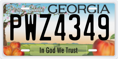 GA license plate PWZ4349