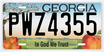 GA license plate PWZ4355