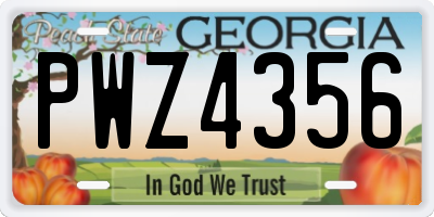 GA license plate PWZ4356
