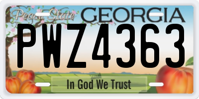 GA license plate PWZ4363