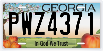 GA license plate PWZ4371