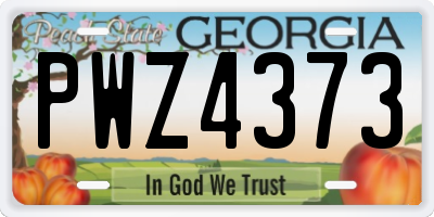 GA license plate PWZ4373