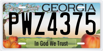 GA license plate PWZ4375