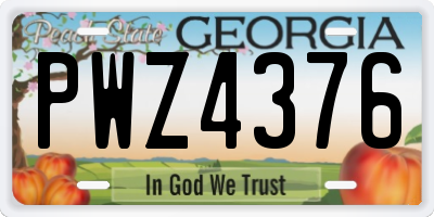 GA license plate PWZ4376