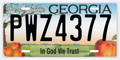 GA license plate PWZ4377