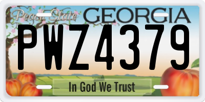 GA license plate PWZ4379
