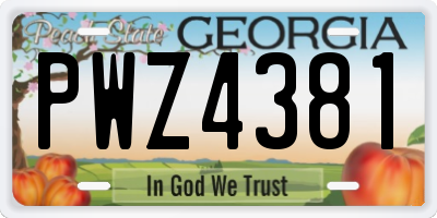 GA license plate PWZ4381