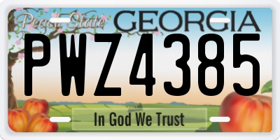GA license plate PWZ4385
