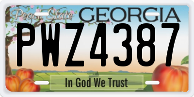 GA license plate PWZ4387