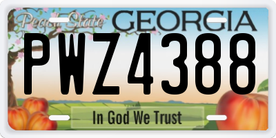 GA license plate PWZ4388