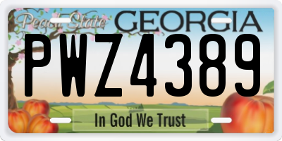 GA license plate PWZ4389