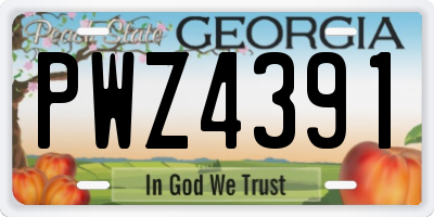 GA license plate PWZ4391