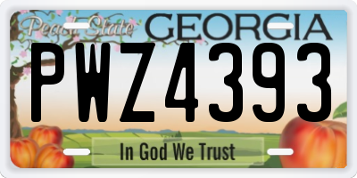 GA license plate PWZ4393