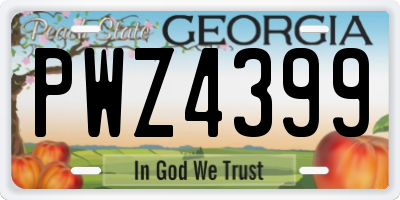 GA license plate PWZ4399