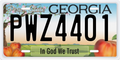 GA license plate PWZ4401